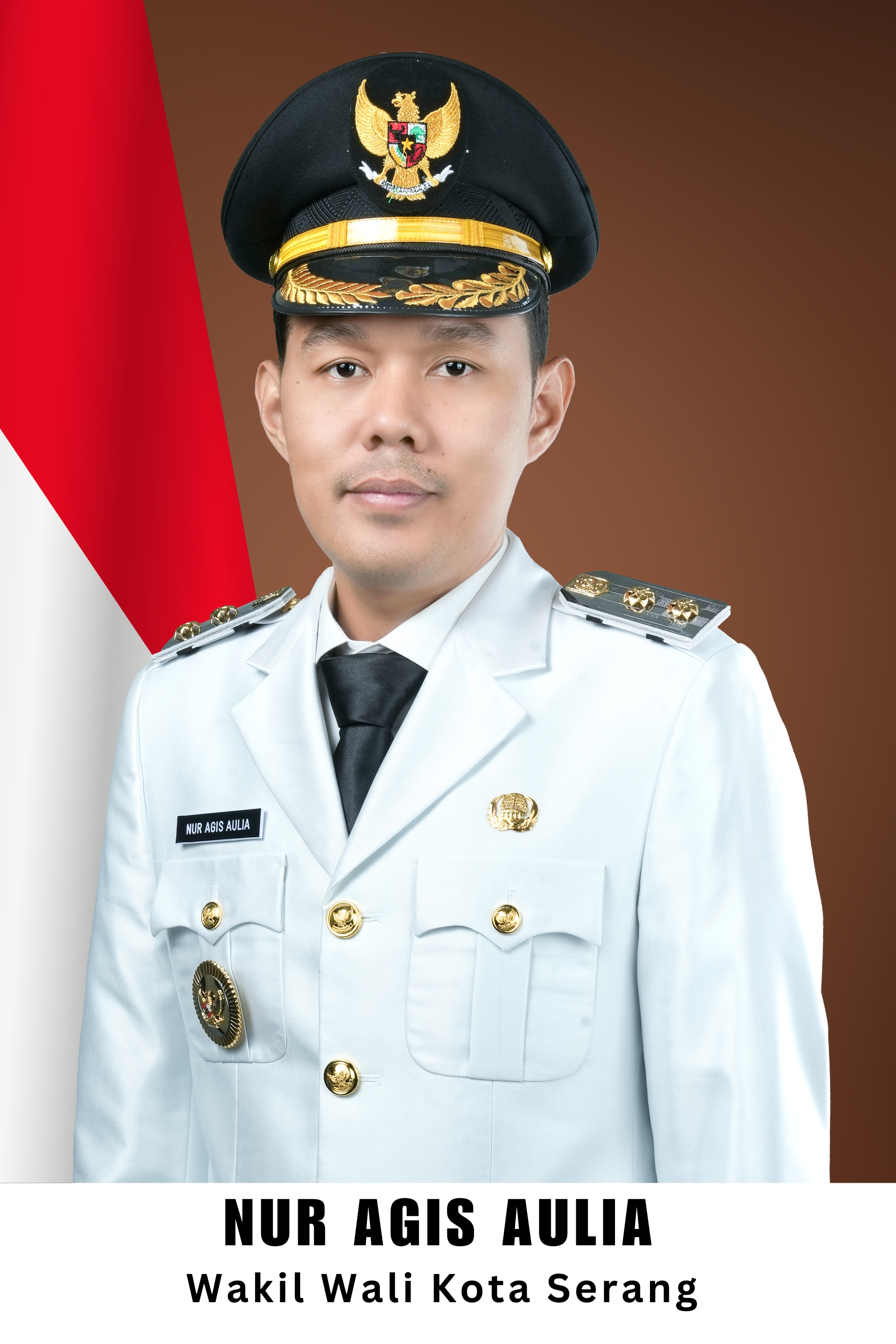 Wakil Wali Kota