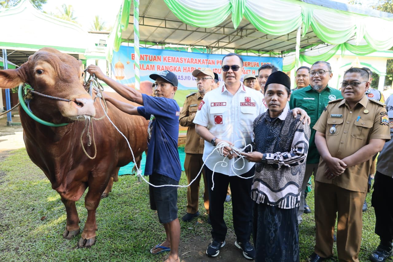 Mantap, Wujud Kepedulian Presiden, Sapi Limosin 1,1 Ton dari Prabowo Subianto Mendarat di Walantaka Serang